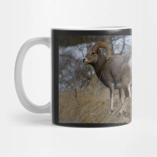 Big Horn Sheep Mug